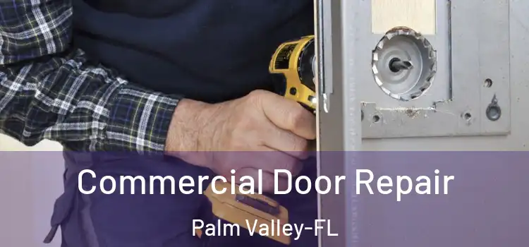 Commercial Door Repair Palm Valley-FL