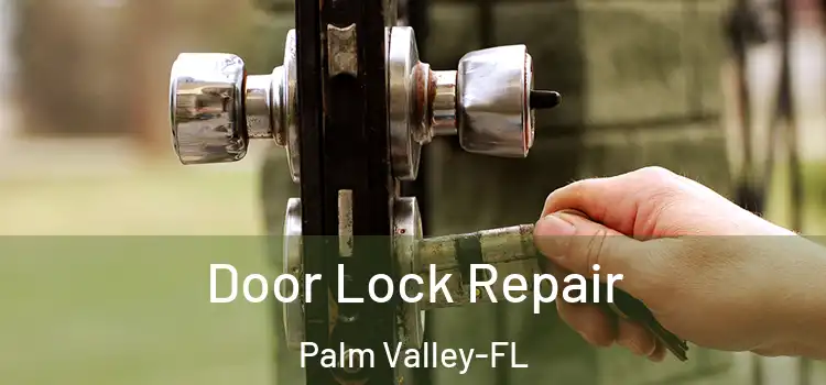 Door Lock Repair Palm Valley-FL