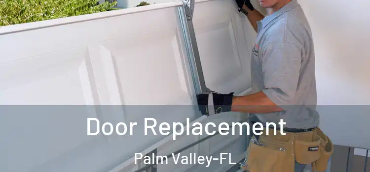  Door Replacement Palm Valley-FL