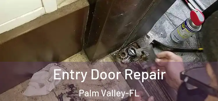  Entry Door Repair Palm Valley-FL