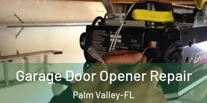 Garage Door Opener Repair Palm Valley-FL