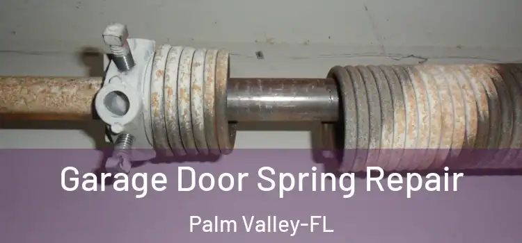 Garage Door Spring Repair Palm Valley-FL