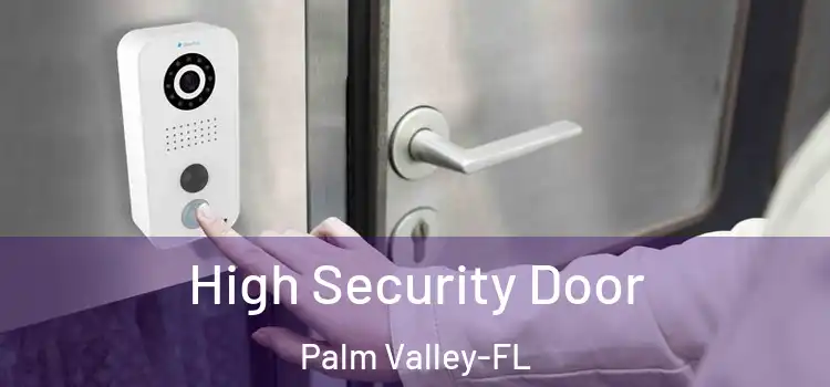  High Security Door Palm Valley-FL