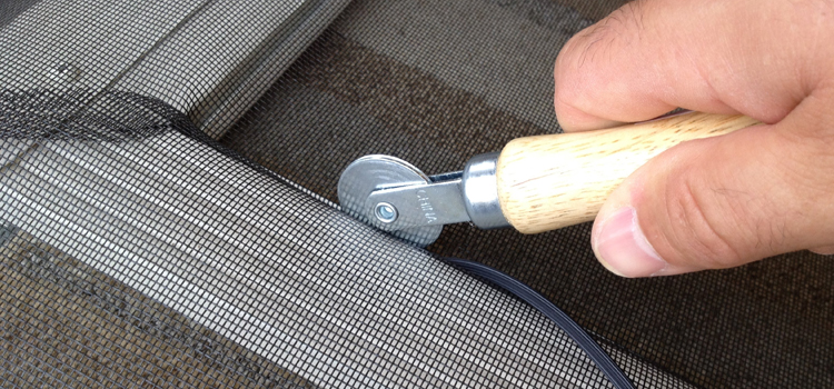 metal screen door repair in Palm Valley