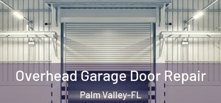 Overhead Garage Door Repair Palm Valley-FL