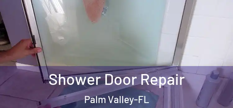 Shower Door Repair Palm Valley-FL